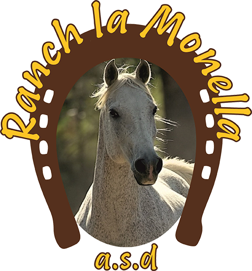 ranch la monella logo 512